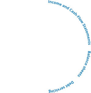 Income and Cash-Flow Statements      Balance sheets       Debt servicing